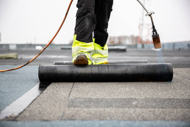 Best Emergency Roof Repair Services  in Manche Village, CA